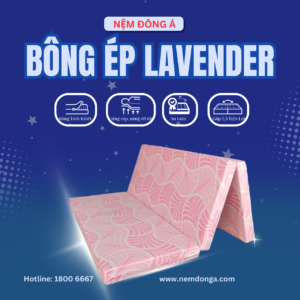 nệm đông á bông ép lavender