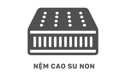 /danh-muc/nem-cao-su-non