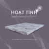 Nệm Đông Á HOẠT TÍNH