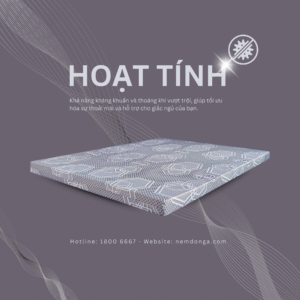 Nệm Đông Á HOẠT TÍNH