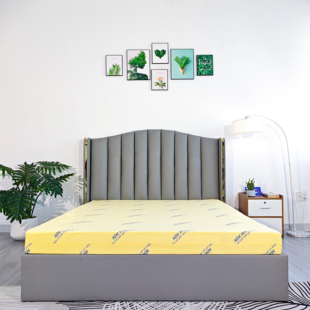 nệm cao su non đông á american mặt trên 1