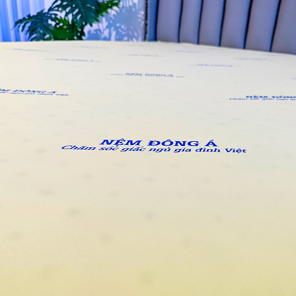 nệm cao su non đông á