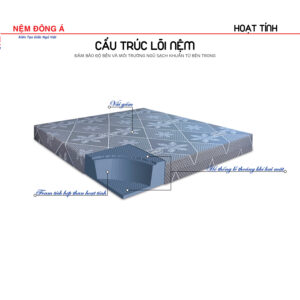 nệm đông á hoạt tính dòng foam hoạt tính