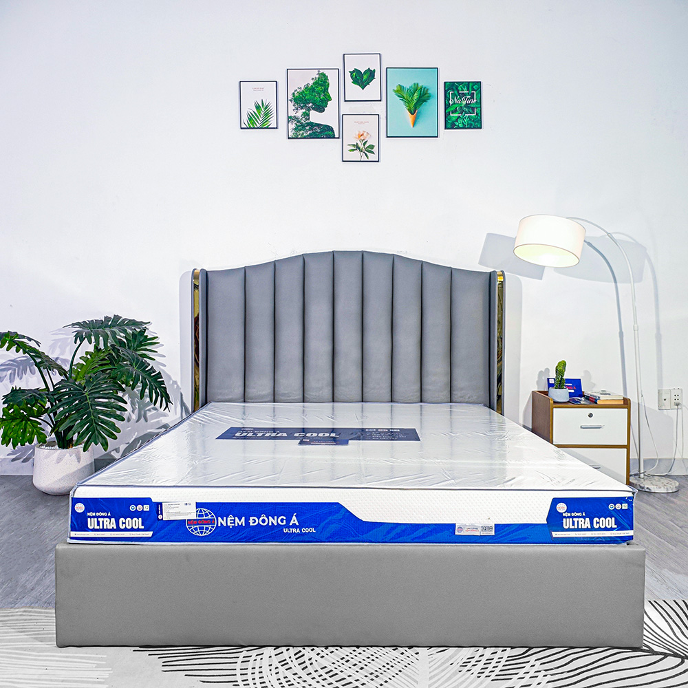 nệm đông á ultra cool 1