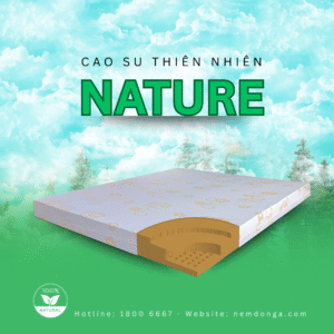 Nệm Cao Su Thiên Nhiên Đông Á