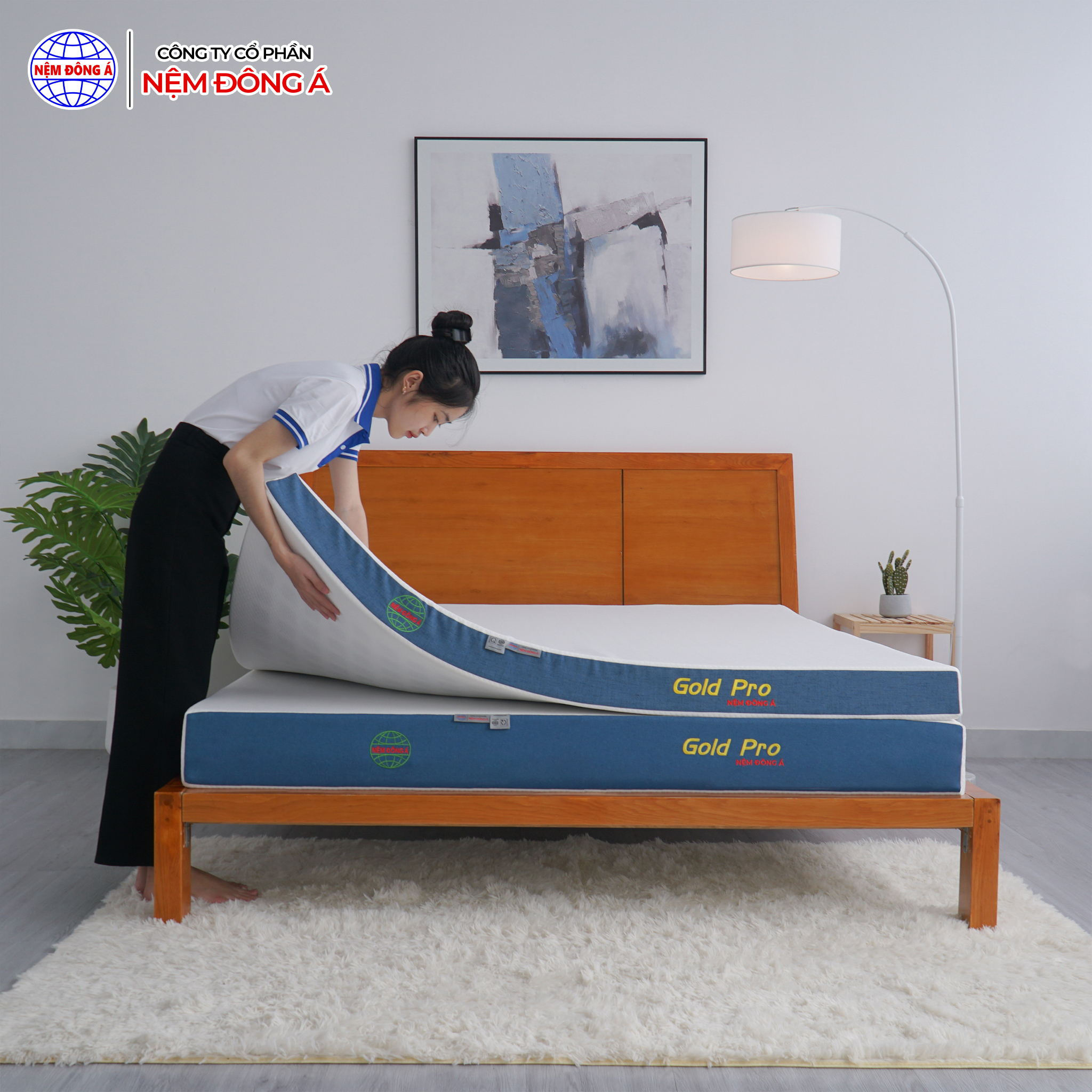 nệm foam gold pro