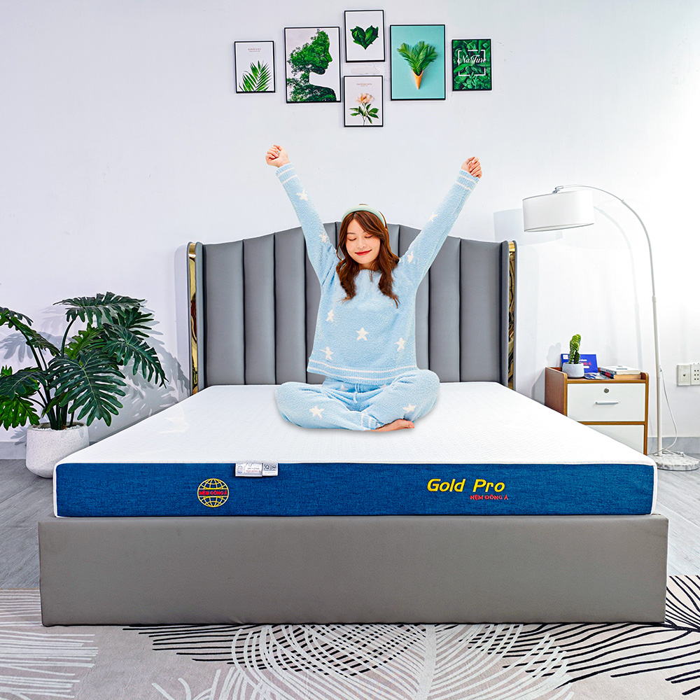 nệm đông á gold pro