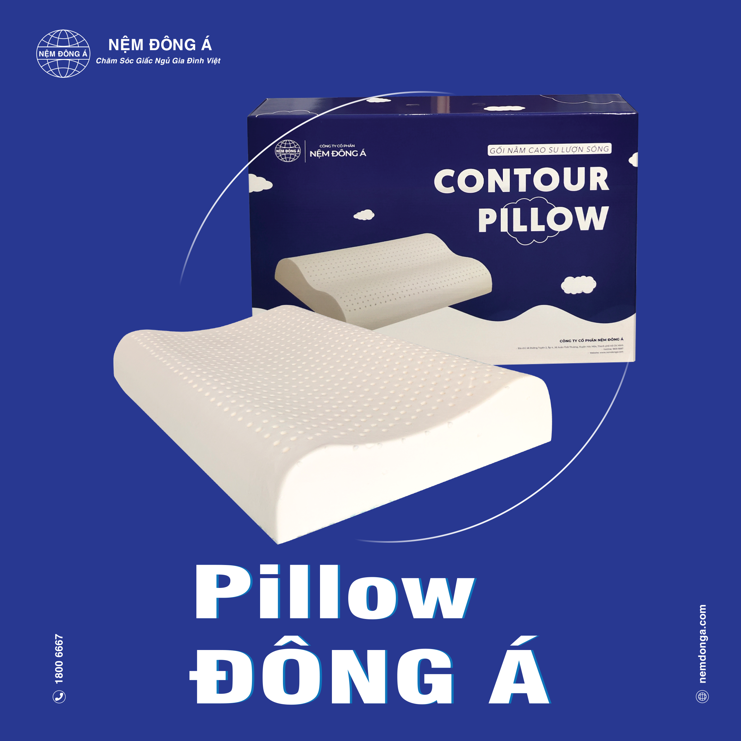 gối lượn sóng đông á Gối cao su thiên nhiên lượn sóng đông á