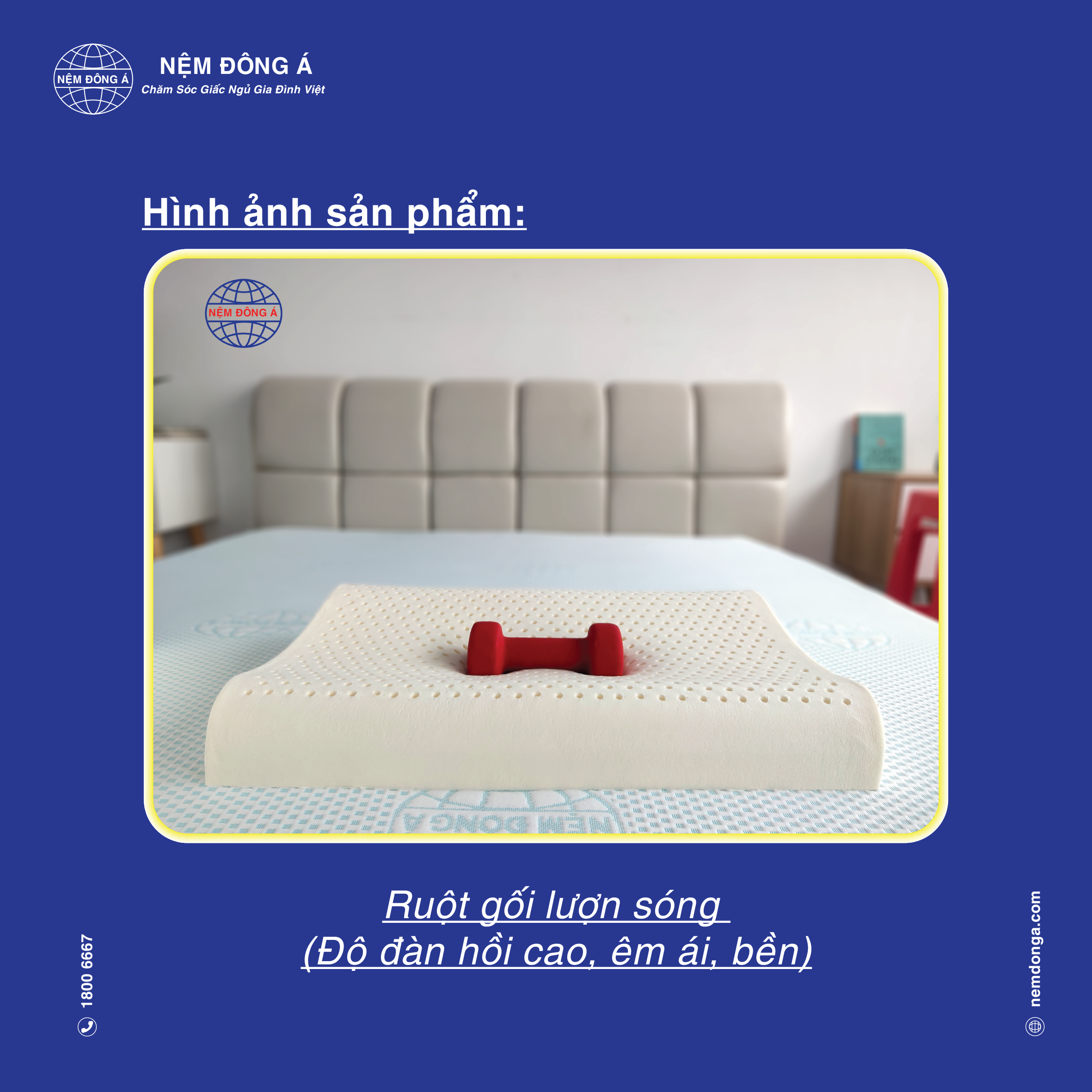 gối thiên nhiên lượn sóng đông á