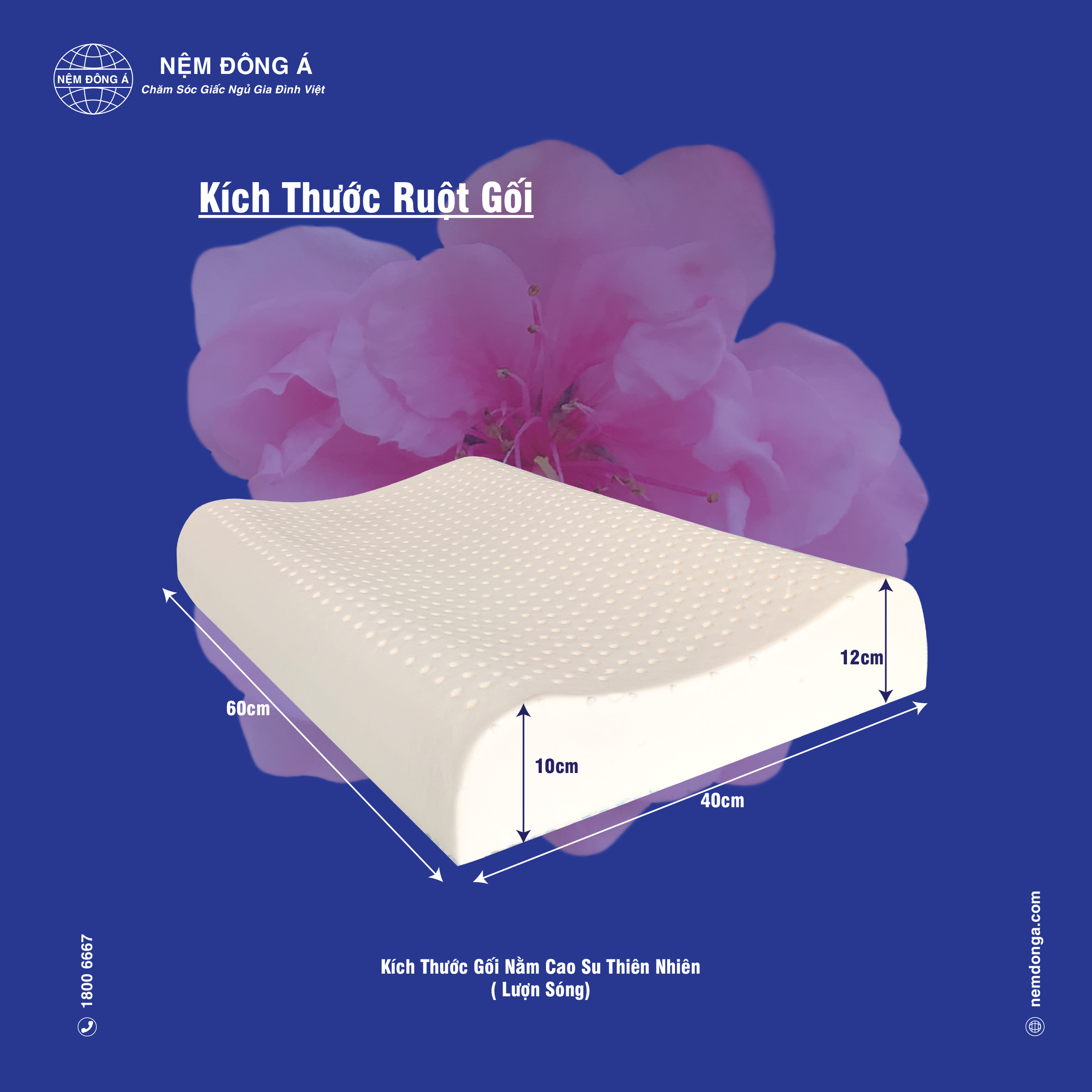 kích thước ruột gối lượn sóng kích thước ruột gối thiên nhiên lượn sóng đông á