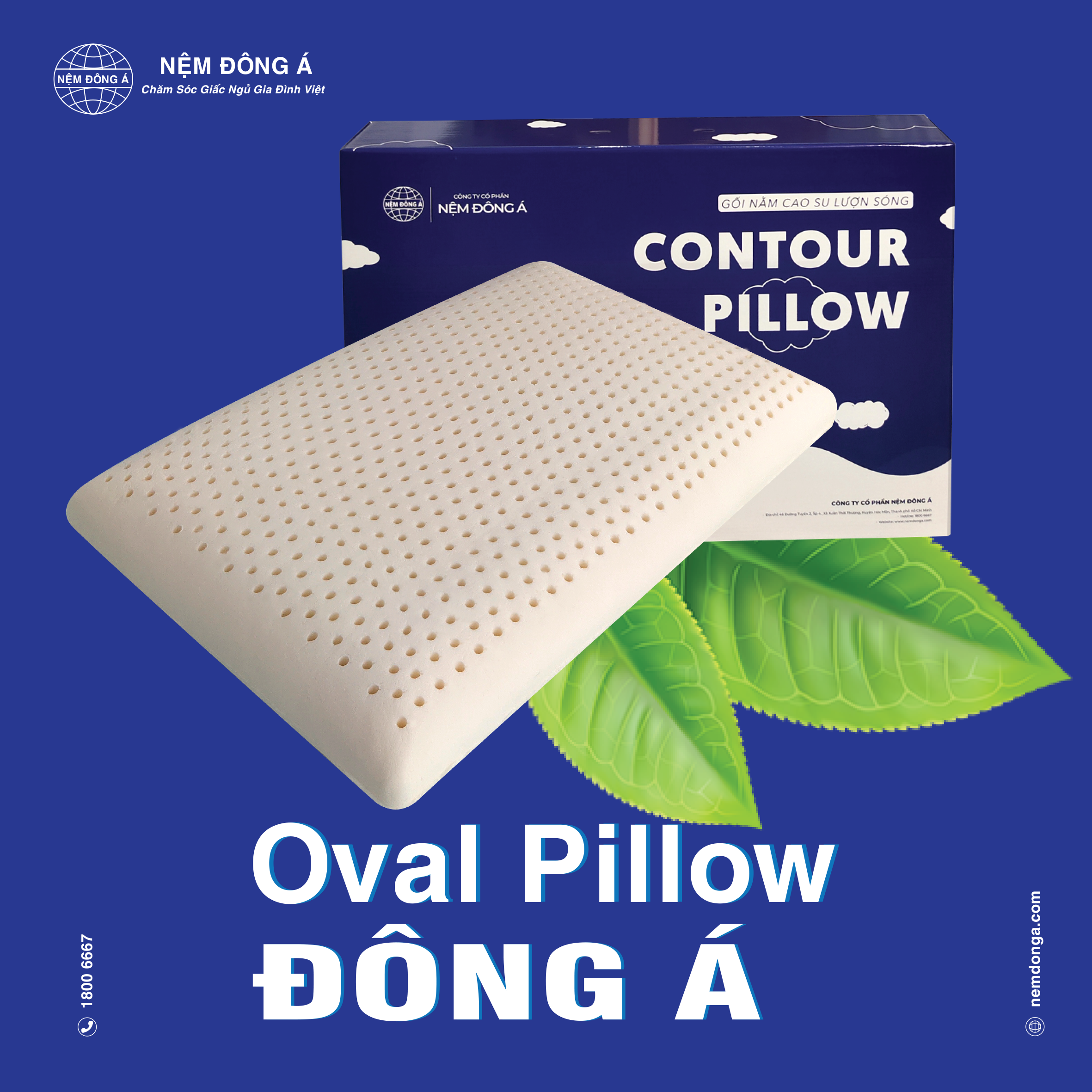 gối oval thiên nhiên gối cao su thiên nhiên oval đông á