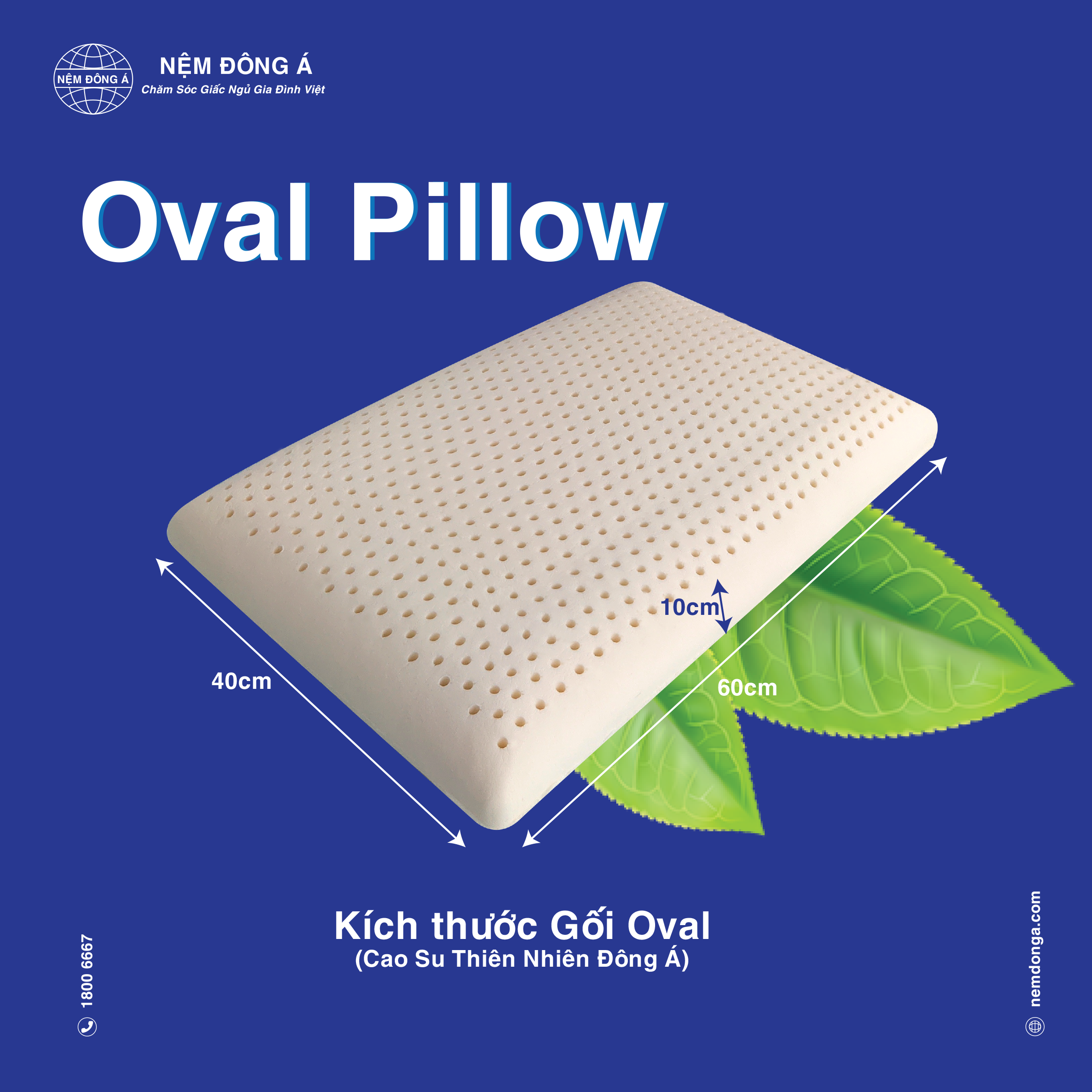 kích thước gối oval thiên nhiên kích thước gối cao su thiên nhiên oval đông á