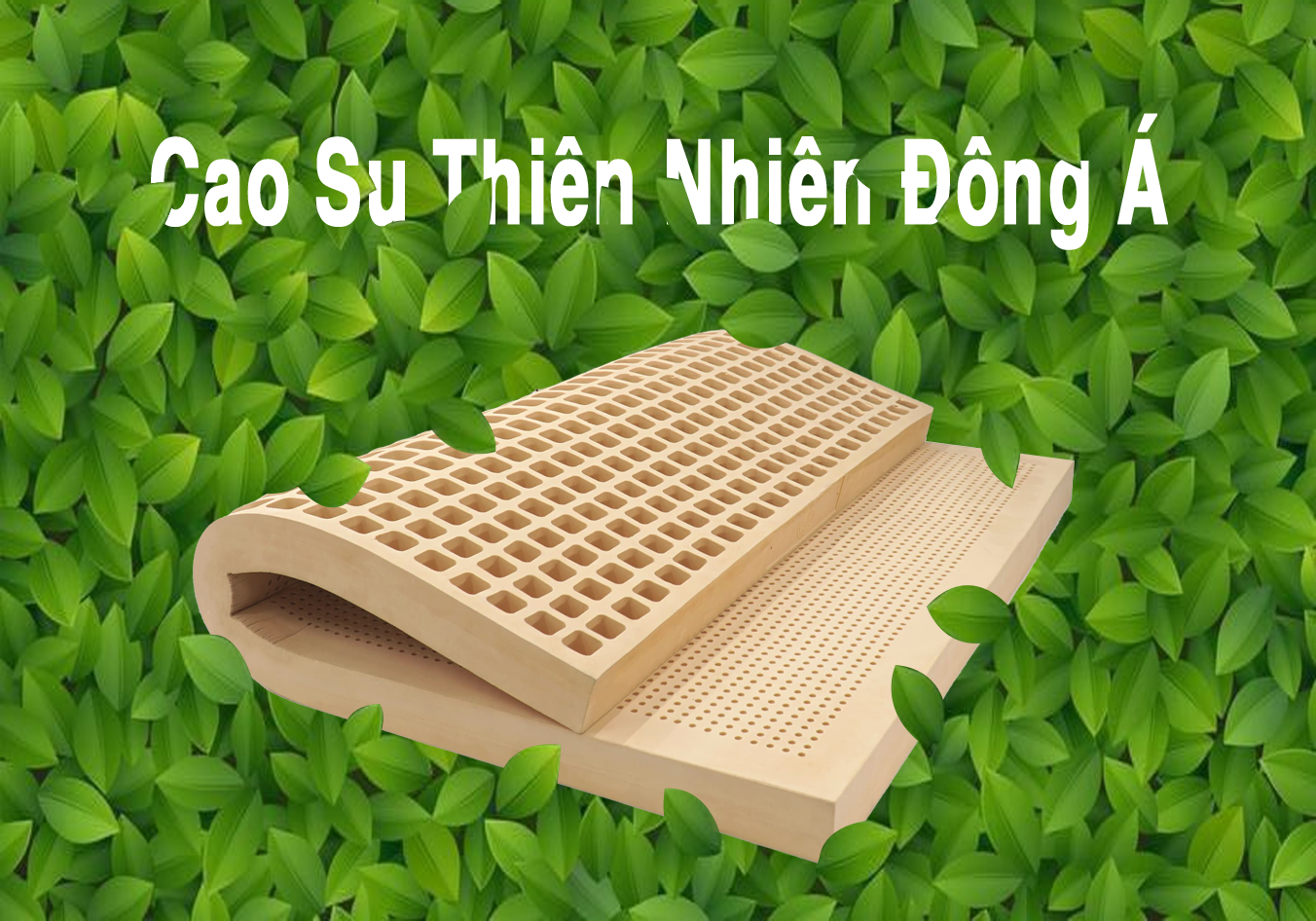 giá nệm thiên nhiên 2023