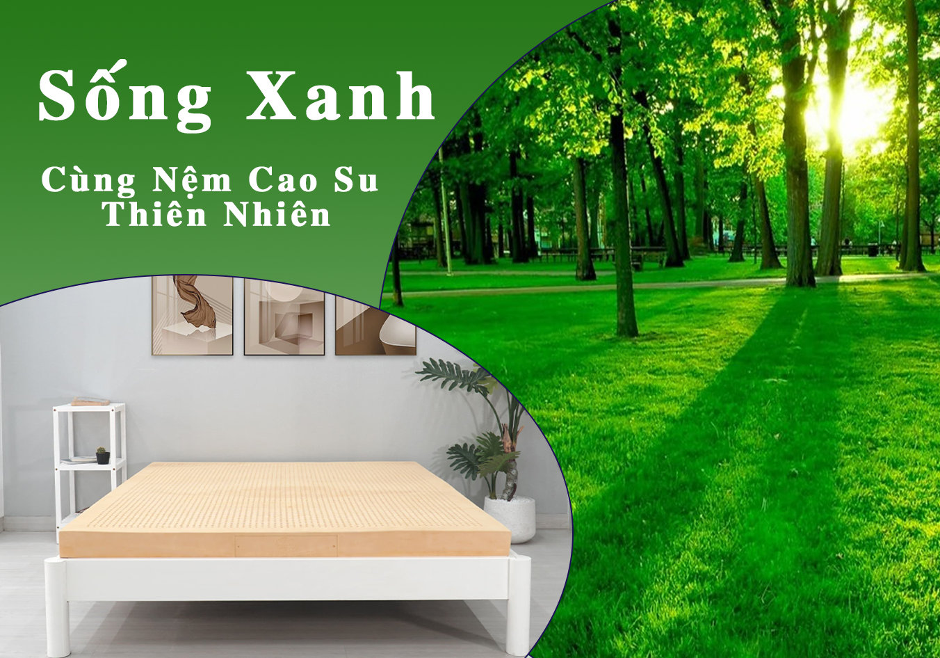 giấc ngủ xanh