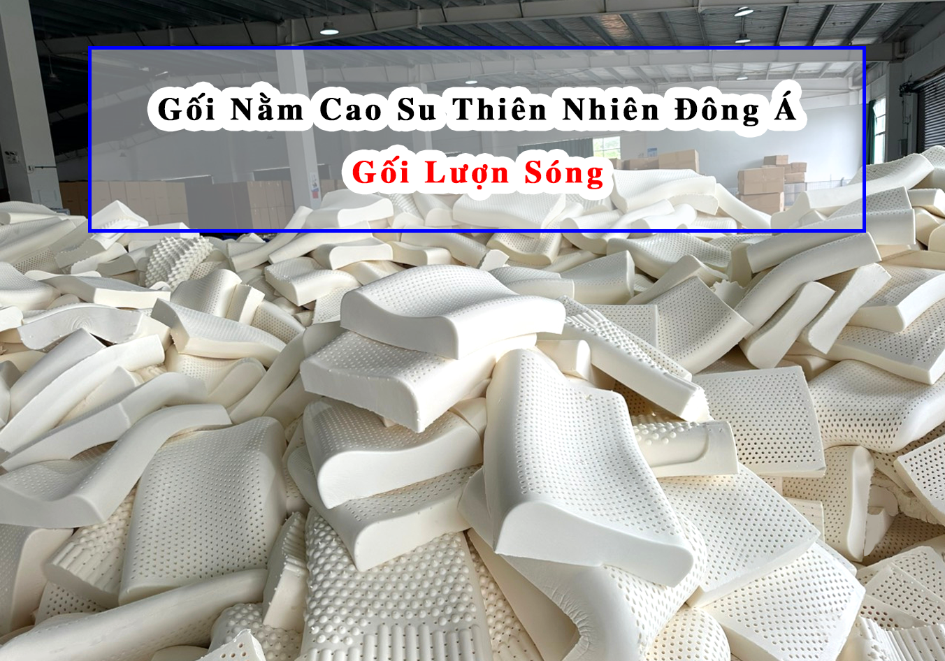 gối cao su thiên nhiên