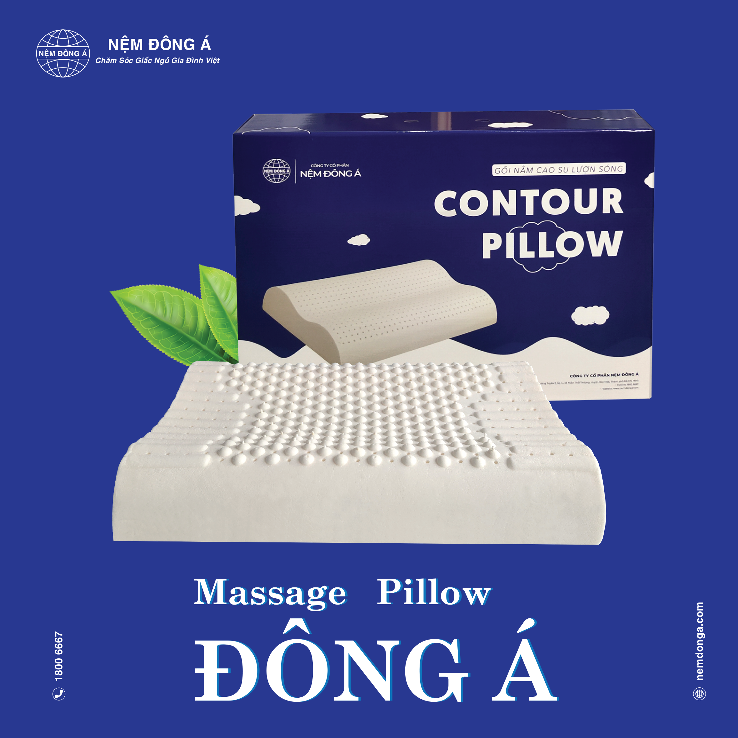 gối thiên nhiên massage đông á gối cao su thiên nhiên massage đông á