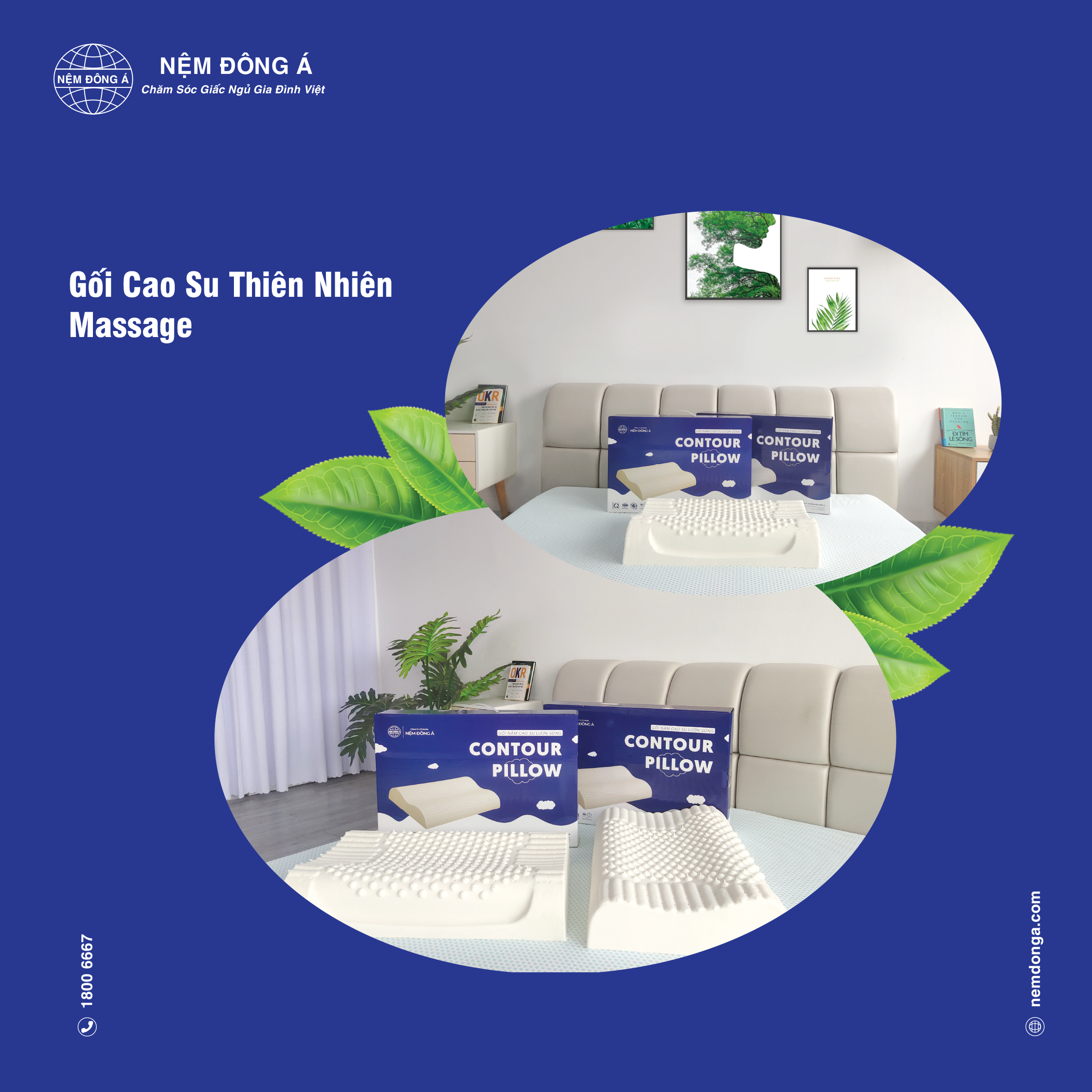 kích thước gối thiên nhiên massage đông á 1