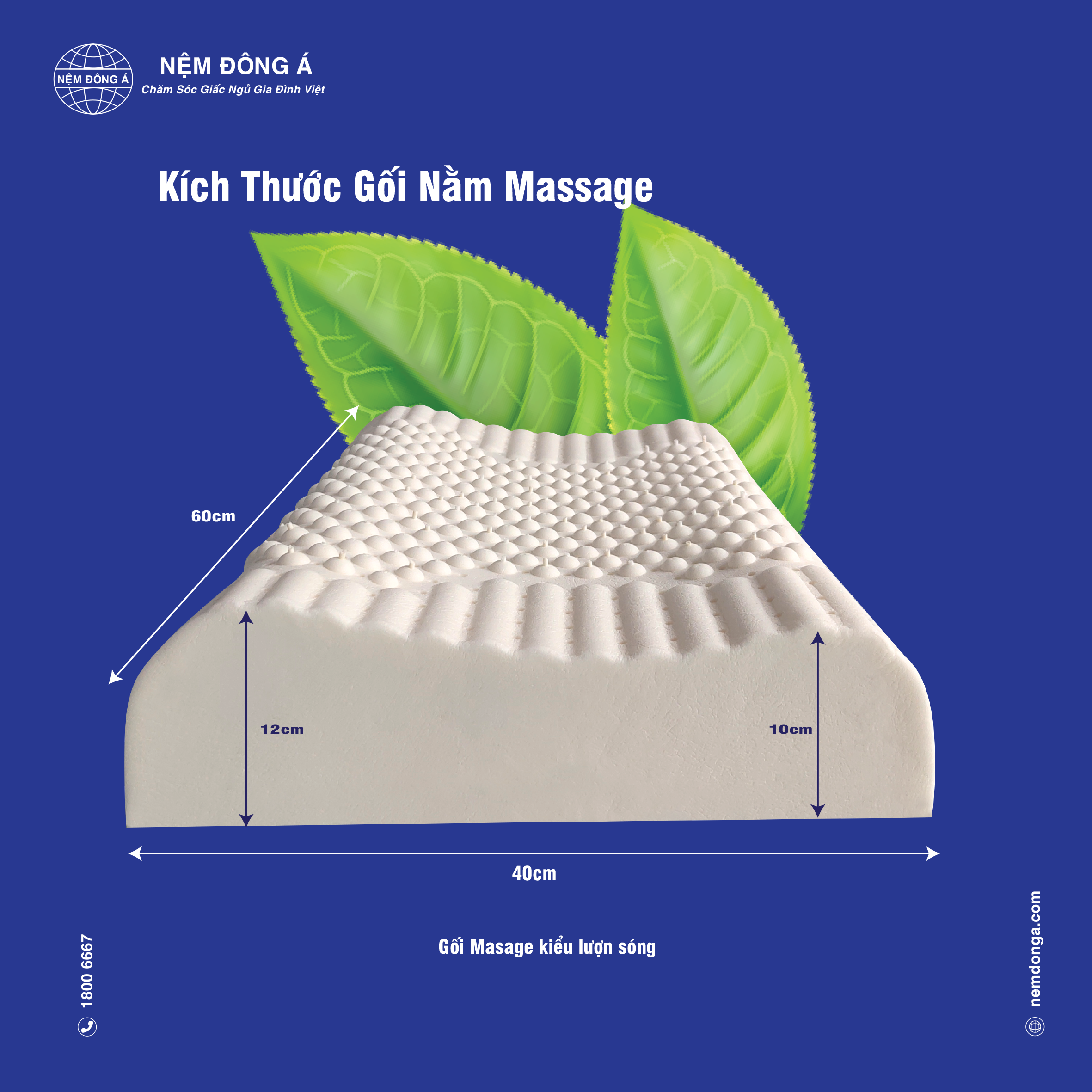 kích thước gối thiên nhiên massage đông á kích thước gối cao su thiên nhiên lượn sóng đông á