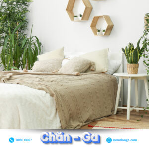 chăn ga nệm đông á