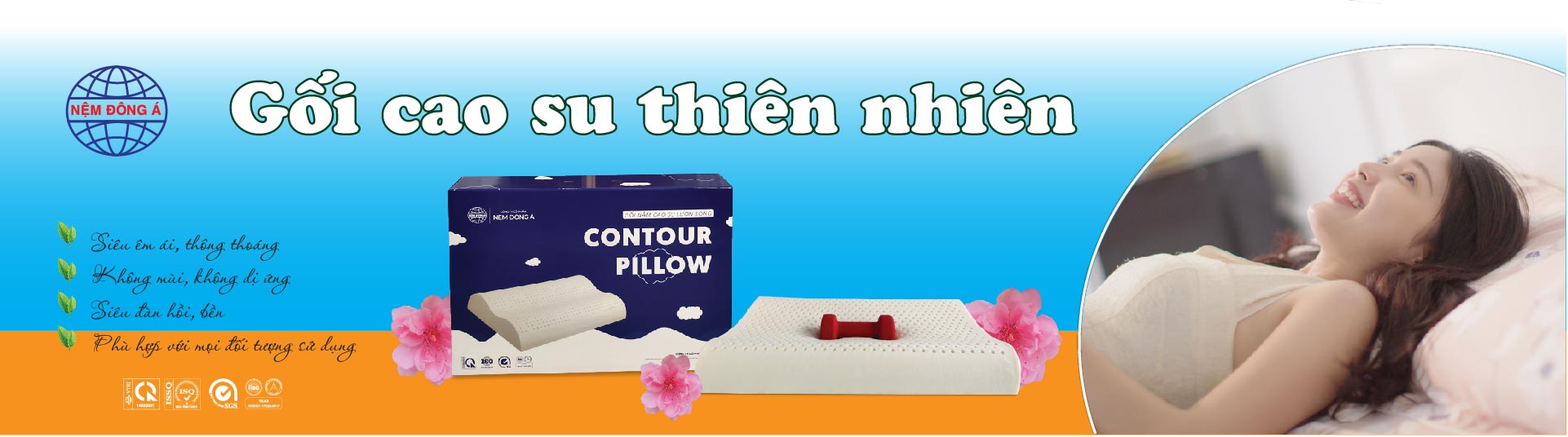 gối cao su thiên nhiên đông á 2024