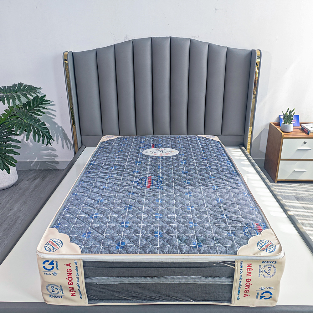 bao keo nệm bông ép silver nano plus 1