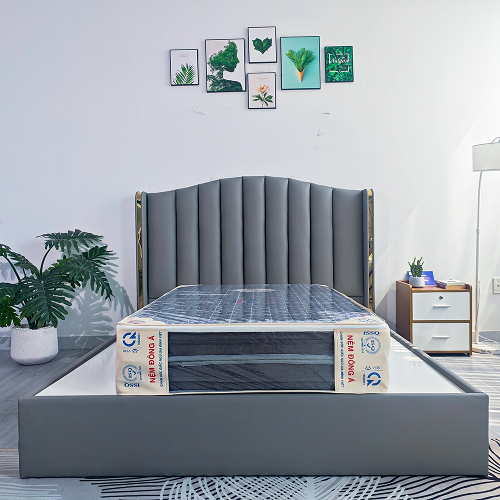 bao keo nệm bông ép silver nano plus