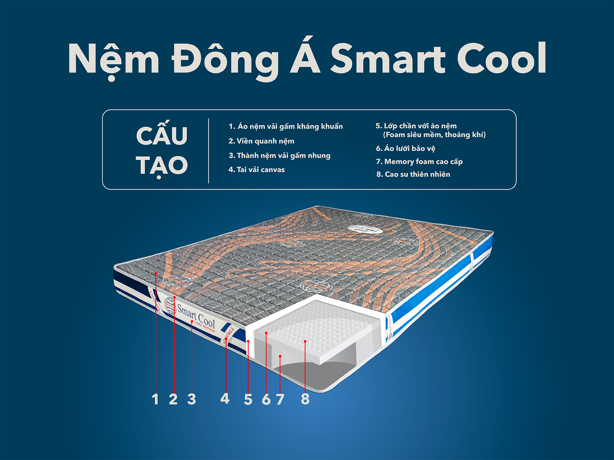 mặt cắt nệm đông á smart cool