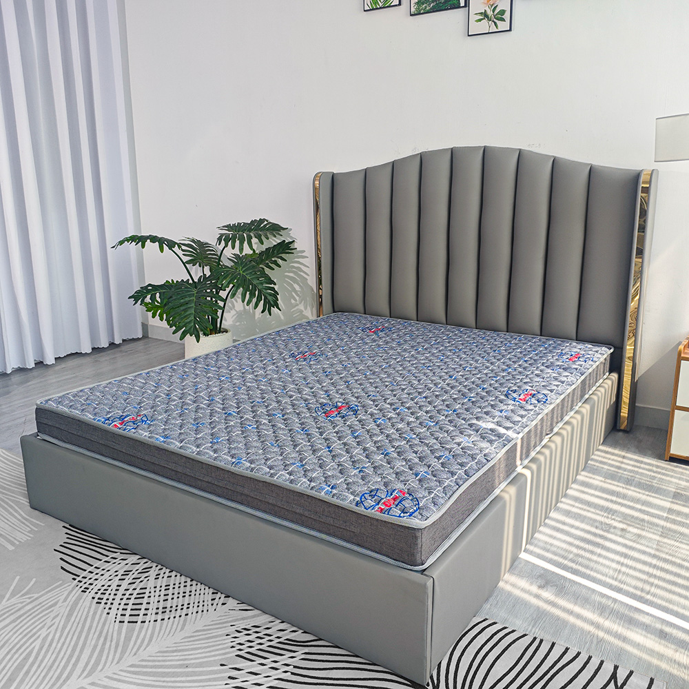 nệm bông ép gấp 2 silver nano plus 11