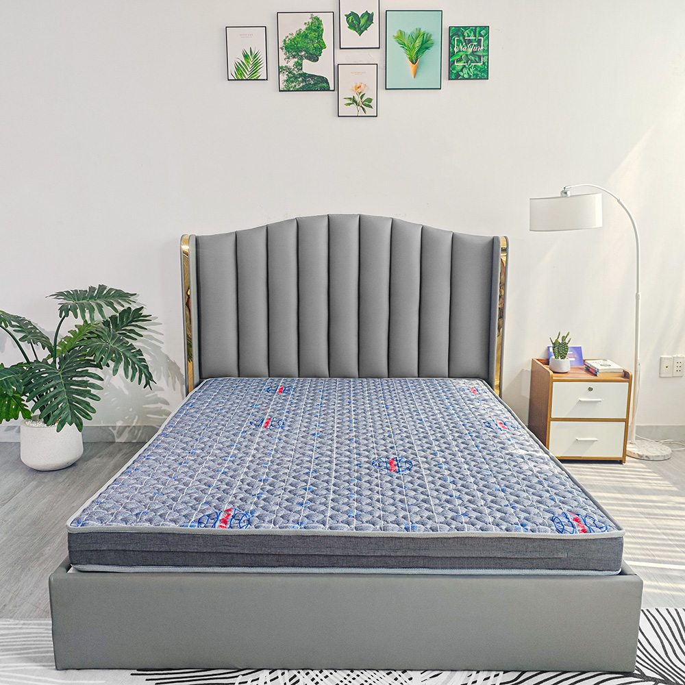 nệm bông ép gấp 2 silver nano plus 22