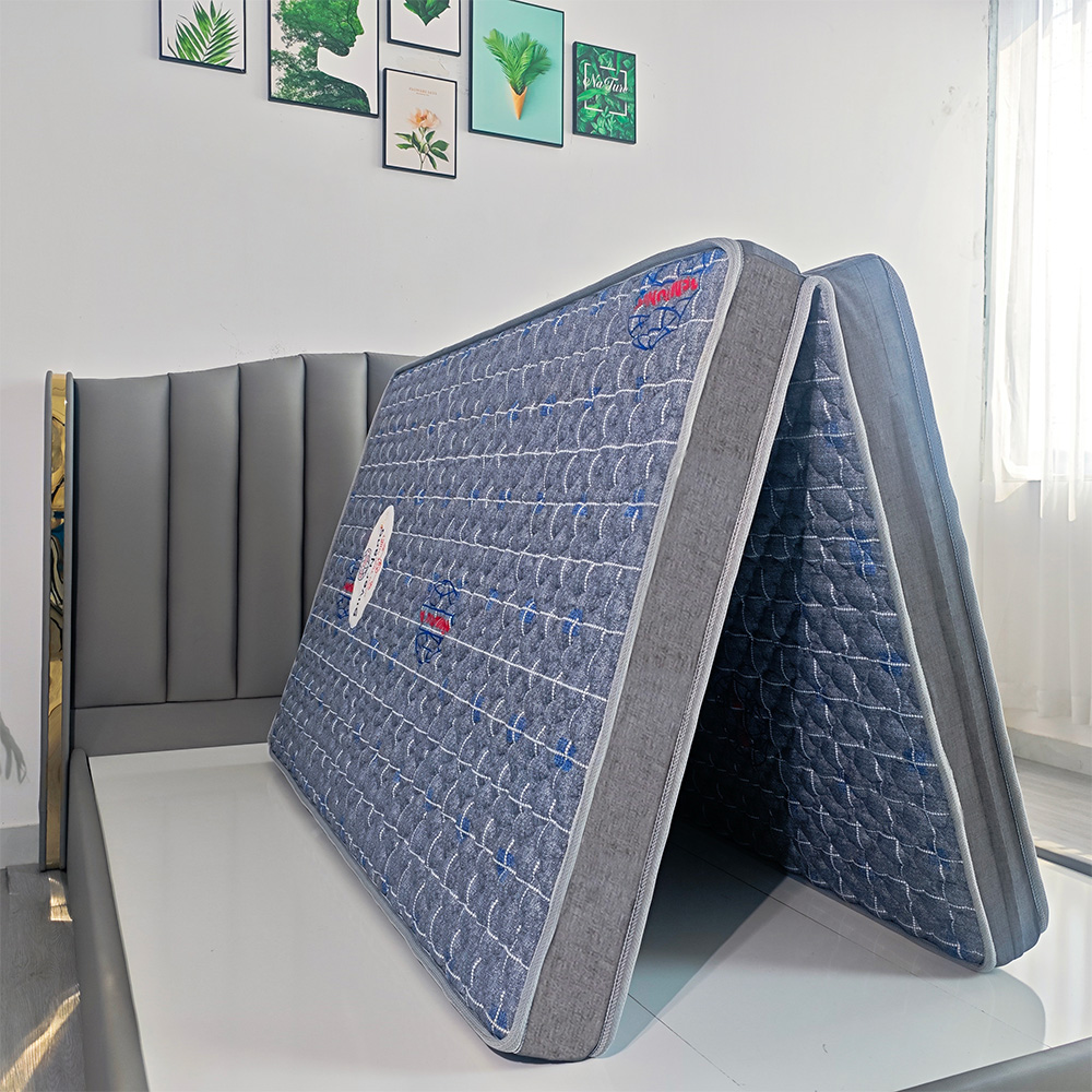 nệm bông ép gấp 2 silver nano plus33