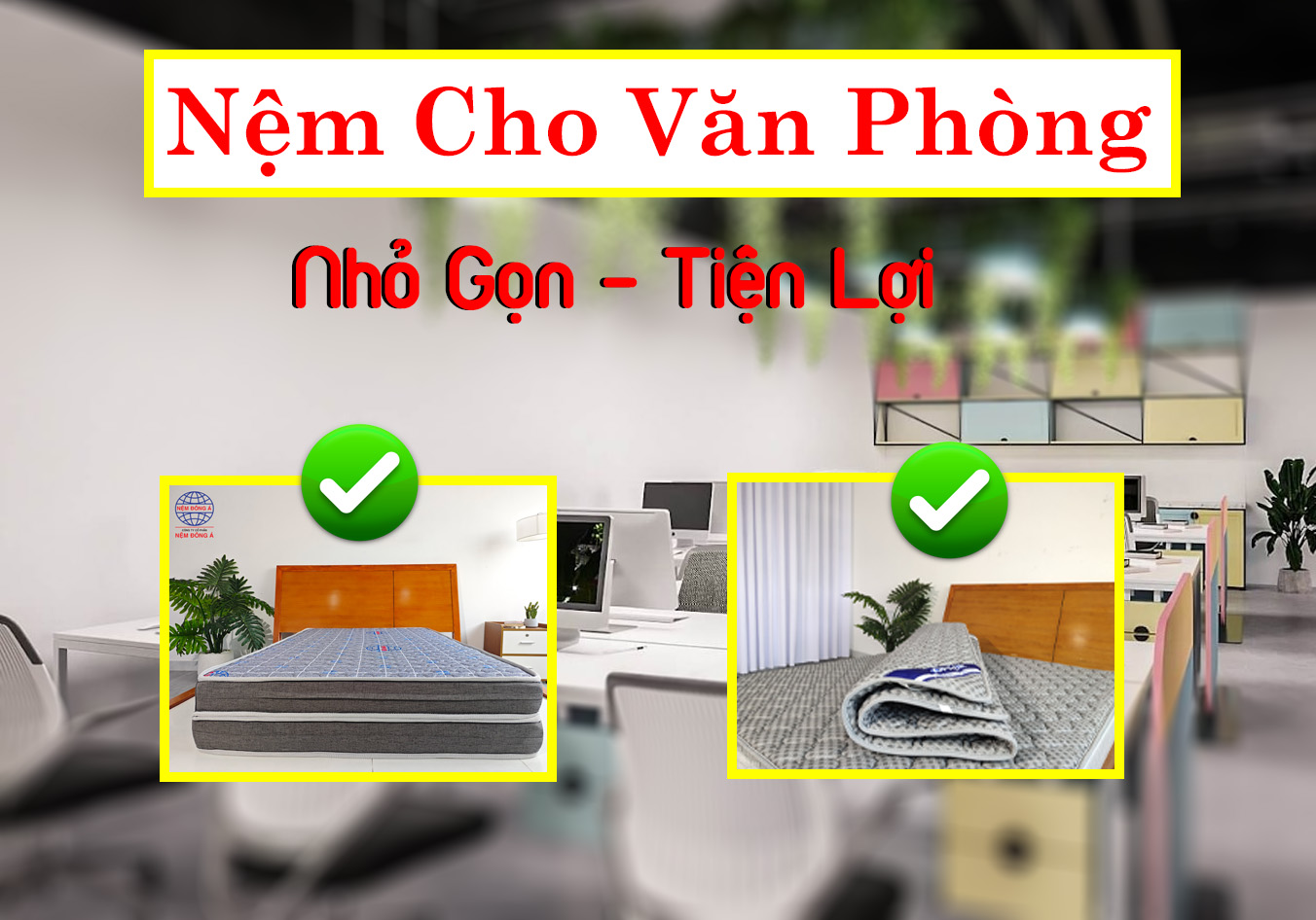 nệm cho văn phòng