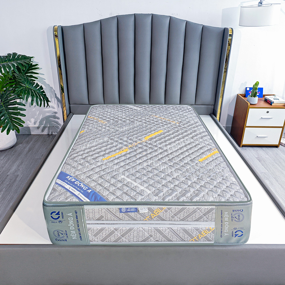 bao keo nệm fiber soft plus 1