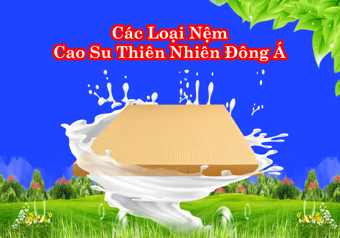 các loại nệm cao su thiên nhiên đông á