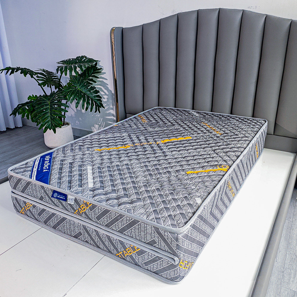 nệm fiber soft plus 6