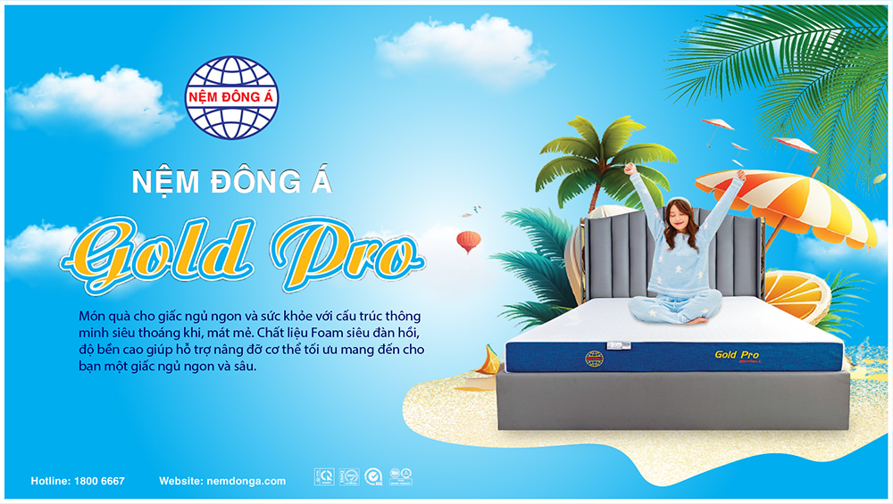 NỆM ĐÔNG Á GOLD PRO