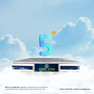 Nệm lò xo đông á king coil