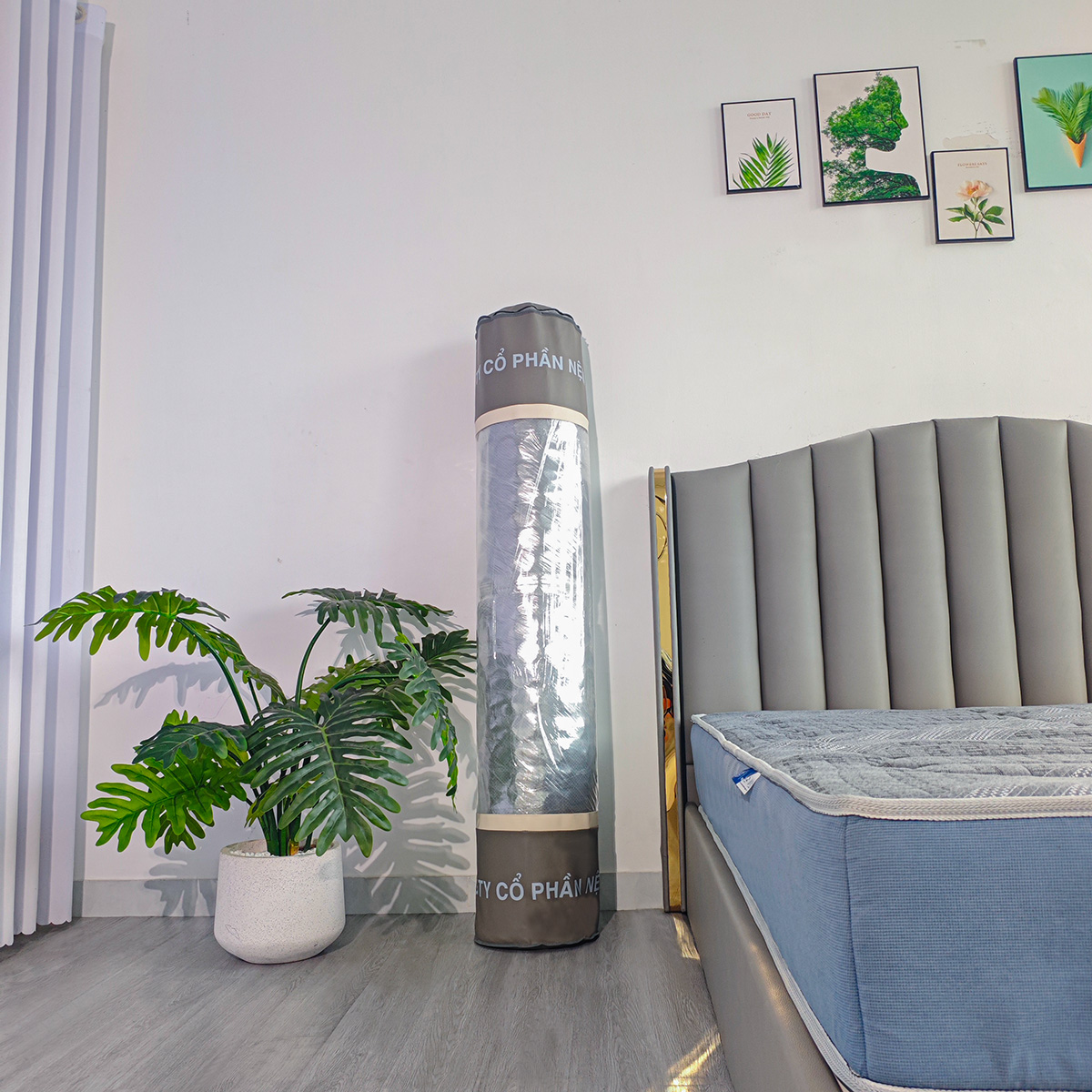 nệm lò xo ép chân không