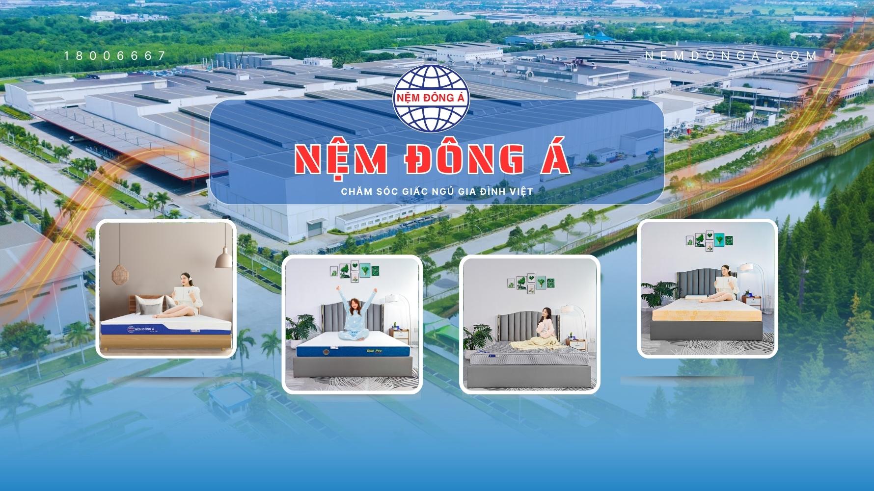 nệm đông á 2025