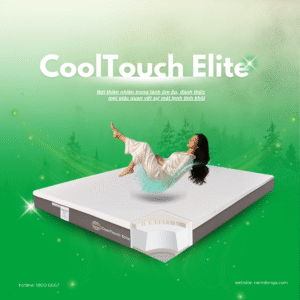 Nệm đông á CoolTouch Elite