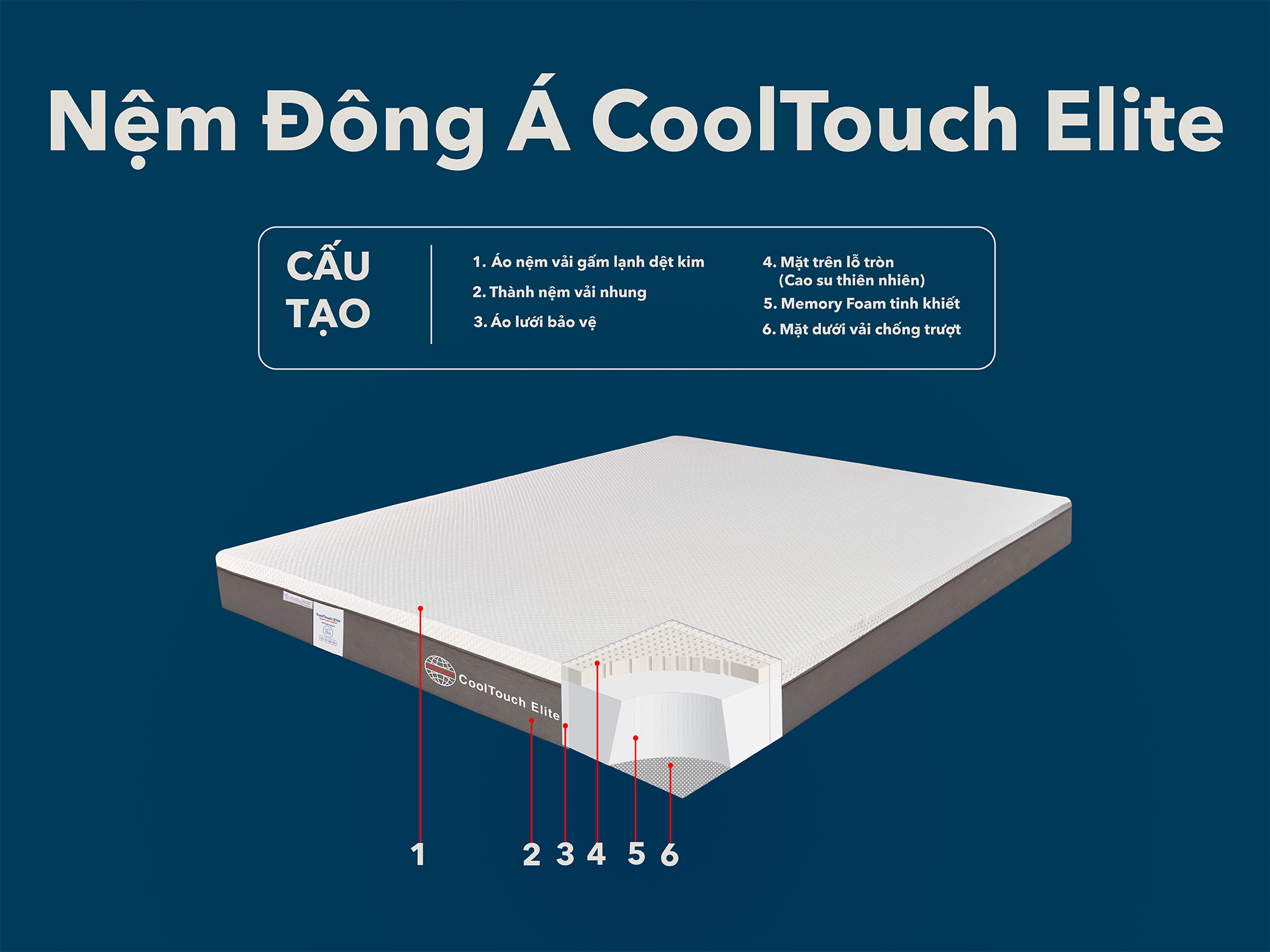 mặt cắt nệm đông á coolTouch elite