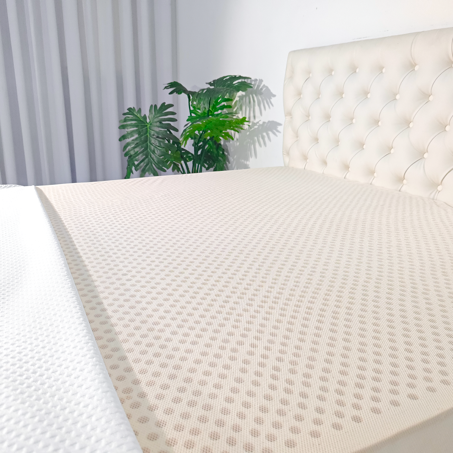 nệm đông á cooltouch elite 9