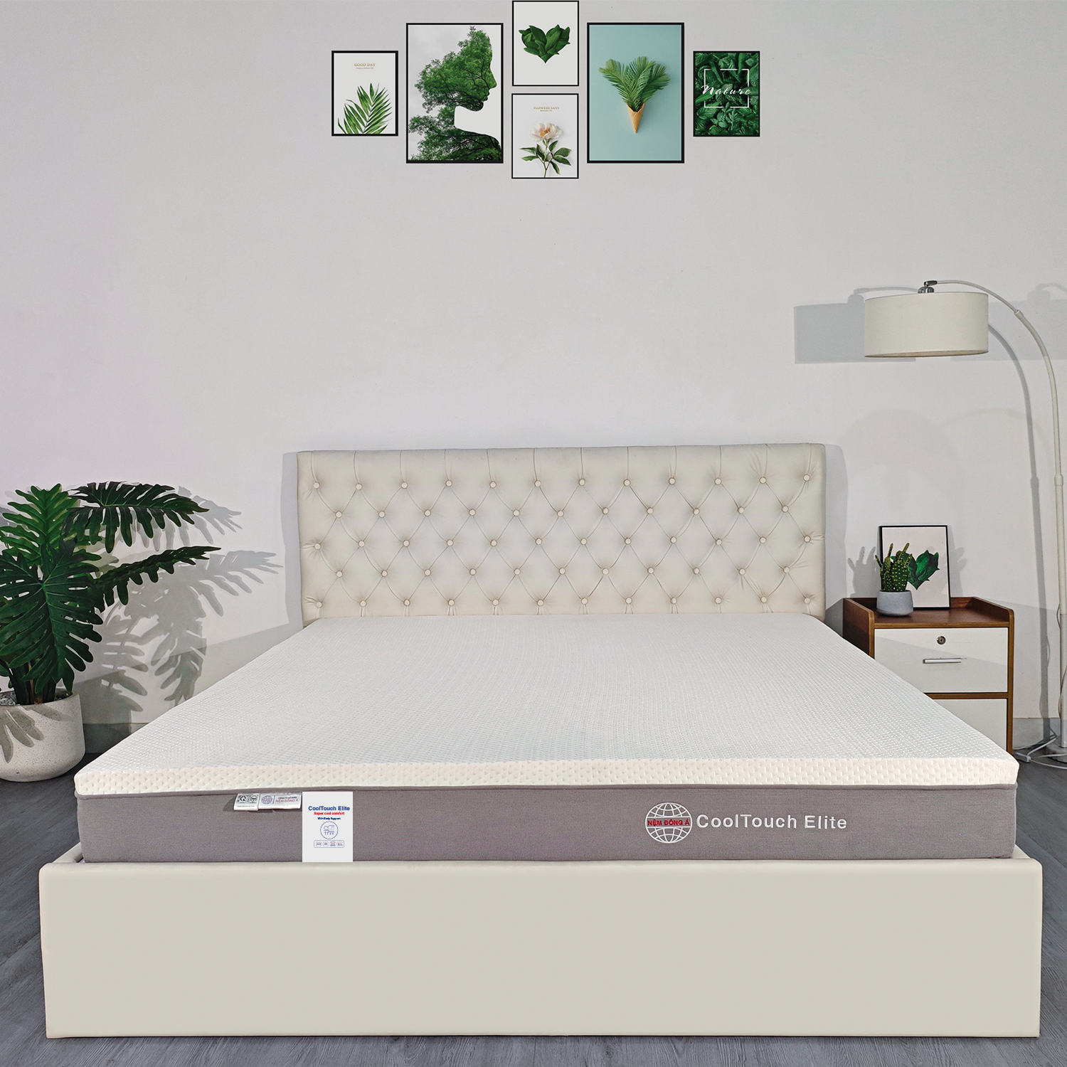 nệm đông á cooltouch elite chính hãng