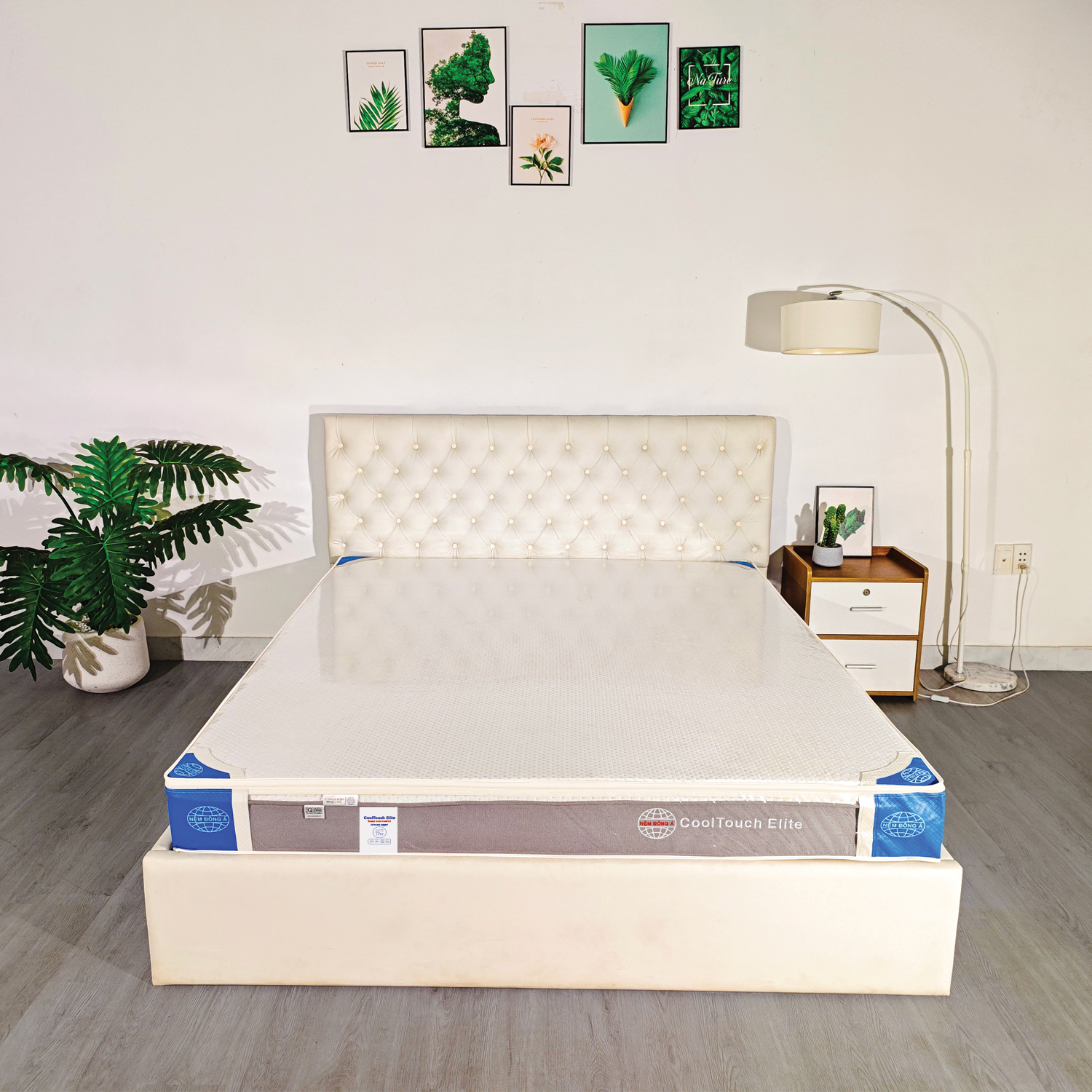 nệm đông á cooltouch elite có bao keo